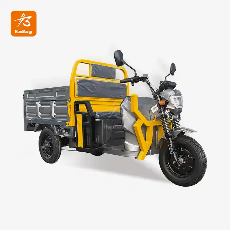 EEC Electric 3 Wheeler Cargo Tricycle
